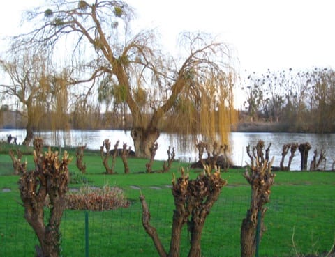 Ramoneur Mézy-sur-Seine