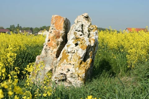 Ramoneur Neauphlette